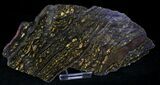 Banded Tiger Iron Stromatolite - Australia ( Billion Years) #22493-2